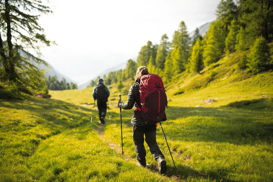 Anti-Shock Hiking Pole x1 - 500