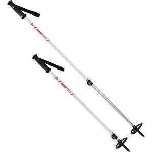 Poles DynaLock Trail Trekking Pole